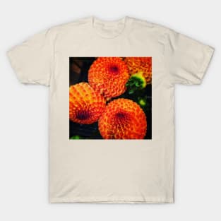 Dahlias, Portland T-Shirt